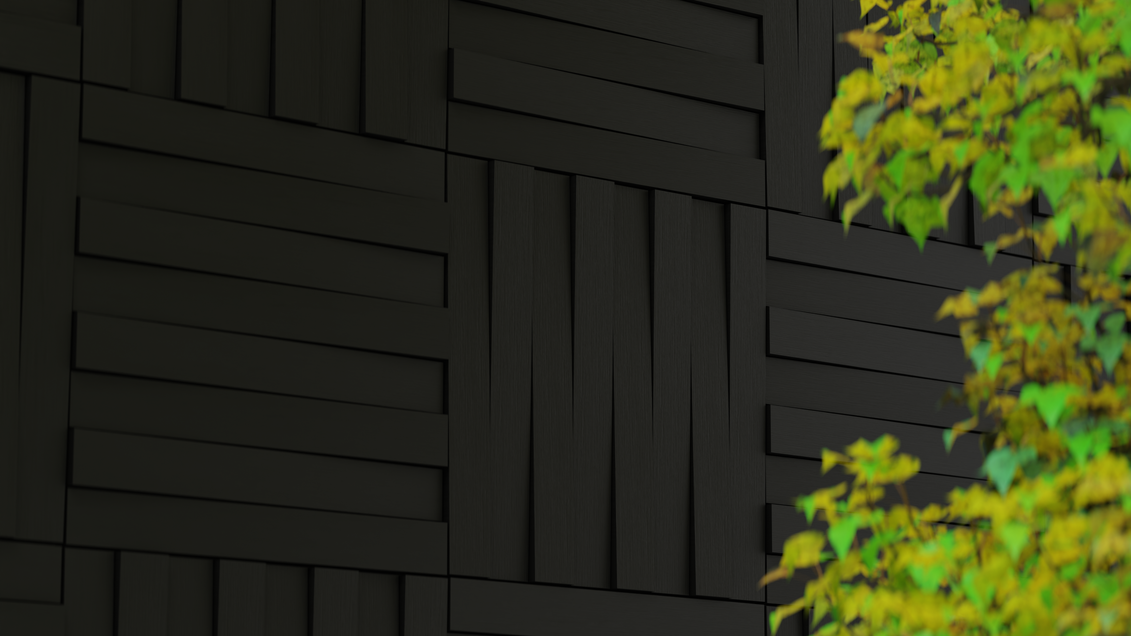 Black Wood — détail